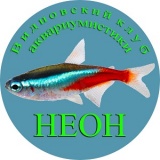 Клуб аквариумистики "Неон"